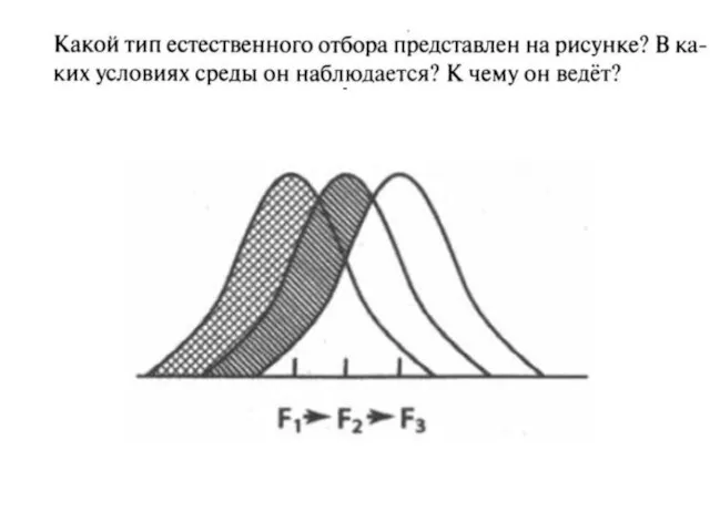 кирил