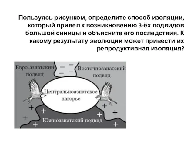 Пользуясь рисунком, определите способ изоляции, который привел к возникновению 3-ёх подвидов