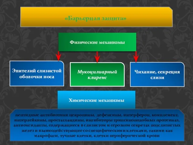 «Барьерная защита» Физические механизмы Эпителий слизистой оболочки носа Мукоцилиарный клиренс Чихание,