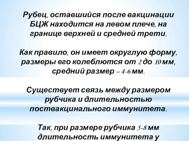 Рубец, оставшийся после вакцинации БЦЖ находится на левом плече, на границе