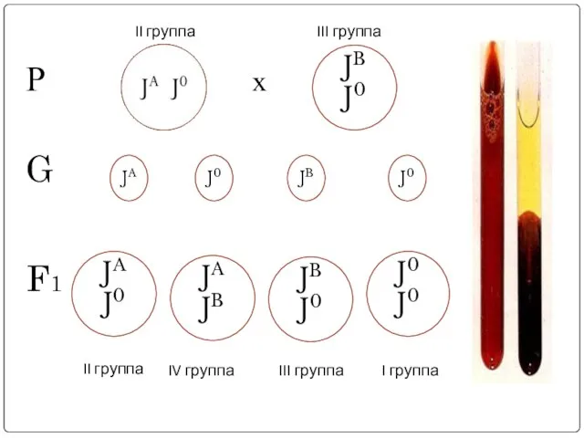 II группа III группа JA J0 JB J0 JB J0