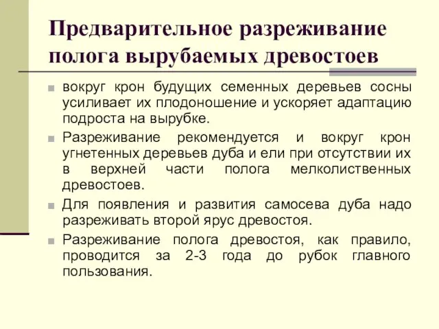 Предварительное разреживание полога вырубаемых древостоев вокруг крон будущих семенных деревьев сосны