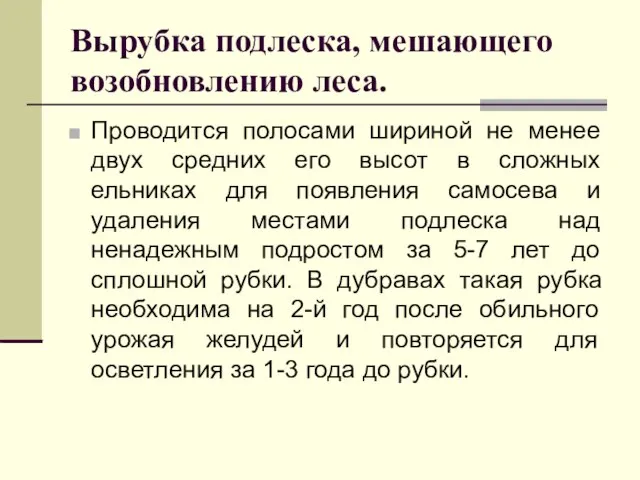 Вырубка подлеска, мешающего возобновлению леса. Проводится полосами шириной не менее двух