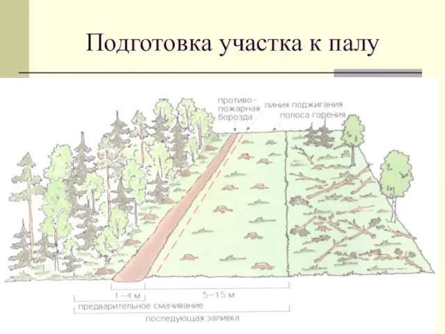 Подготовка участка к палу