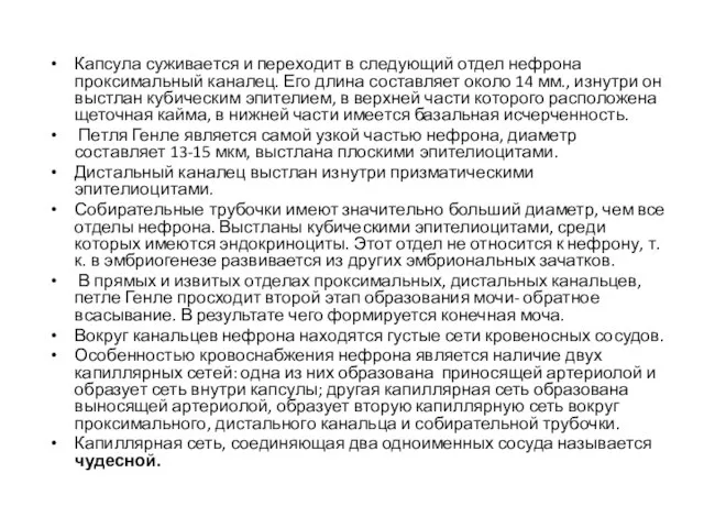 Капсула суживается и переходит в следующий отдел нефрона проксимальный каналец. Его