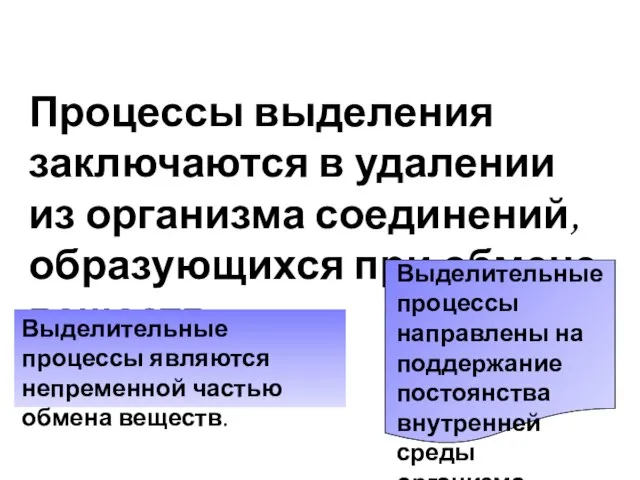 Процессы выделения заключаются в удалении из организма соединений, образующихся при обмене