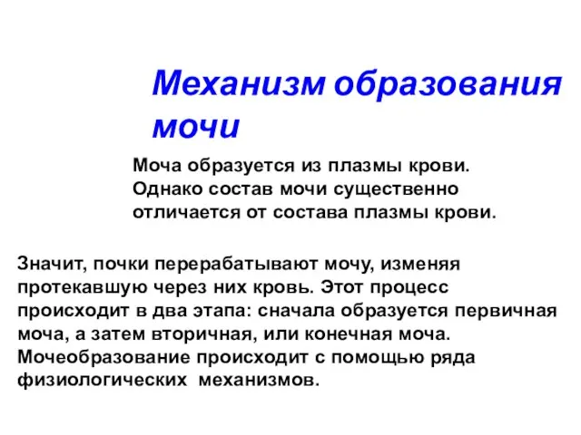 Механизм образования мочи Моча образуется из плазмы крови. Однако состав мочи