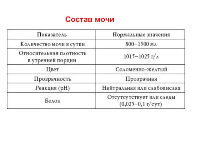 Состав мочи