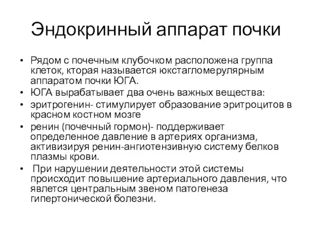 Эндокринный аппарат почки Рядом с почечным клубочком расположена группа клеток, кторая