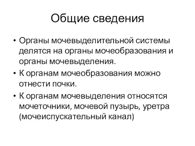 Общие сведения Органы мочевыделительной системы делятся на органы мочеобразования и органы