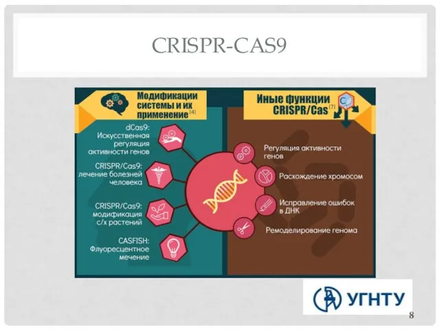 CRISPR-CAS9