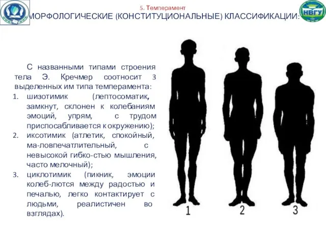 5. Темперамент МОРФОЛОГИЧЕСКИЕ (КОНСТИТУЦИОНАЛЬНЫЕ) КЛАССИФИКАЦИИ: С названными типами строения тела Э.