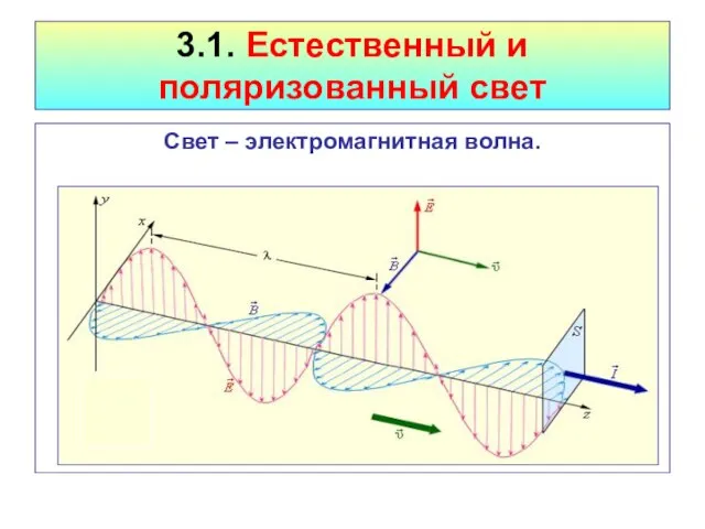 3.1. Естественный и поляризованный свет Свет – электромагнитная волна.