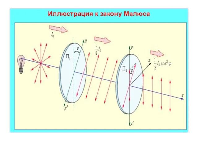 Иллюстрация к закону Малюса