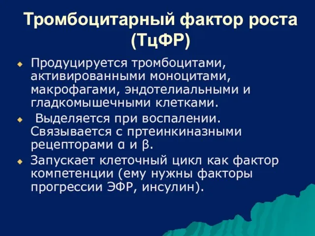 Тромбоцитарный фактор роста (ТцФР) Продуцируется тромбоцитами, активированными моноцитами, макрофагами, эндотелиальными и