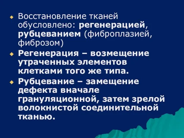 Восстановление тканей обусловлено: регенерацией, рубцеванием (фиброплазией, фиброзом) Регенерация – возмещение утраченных