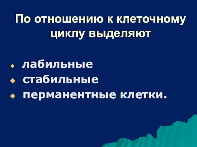 По отношению к клеточному циклу выделяют лабильные стабильные перманентные клетки.