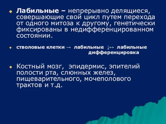 Лабильные – непрерывно делящиеся, совершающие свой цикл путем перехода от одного