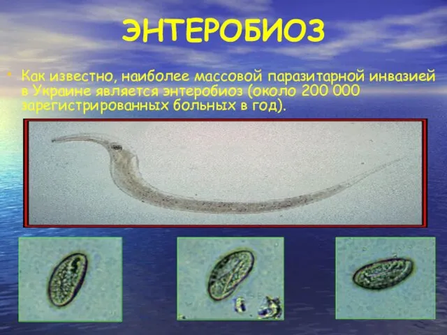 ЭНТЕРОБИОЗ Как известно, наиболее массовой паразитарной инвазией в Украине является энтеробиоз