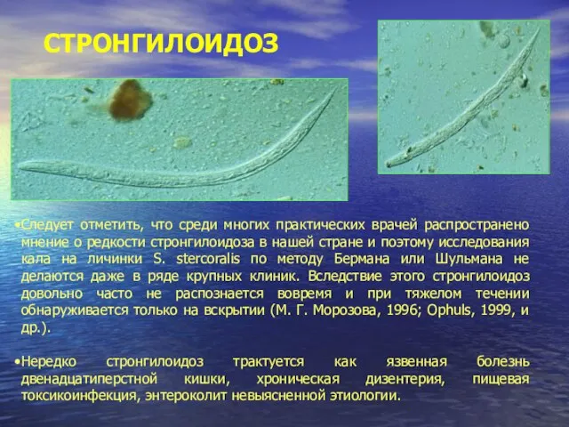 СТРОНГИЛОИДОЗ Следует отметить, что среди многих практических врачей распространено мнение о