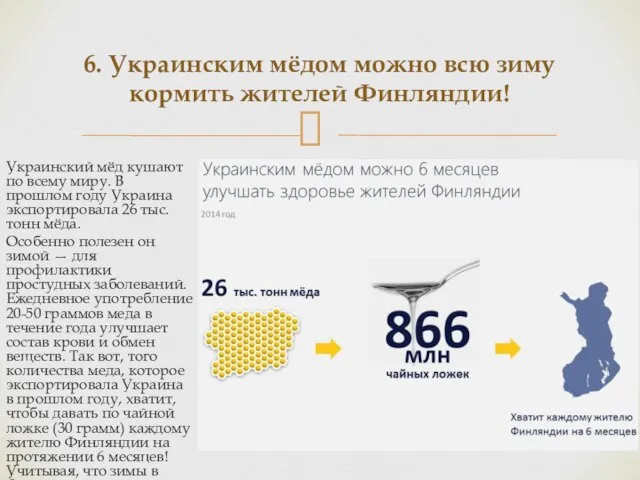 Украинский мёд кушают по всему миру. В прошлом году Украина экспортировала