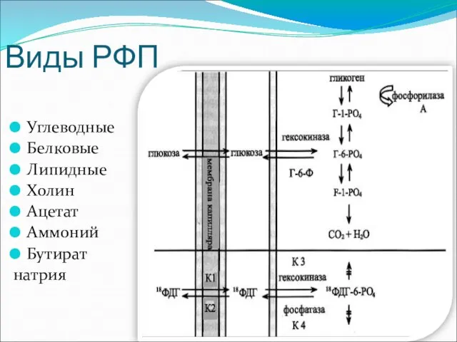 Виды РФП Углеводные Белковые Липидные Холин Ацетат Аммоний Бутират натрия