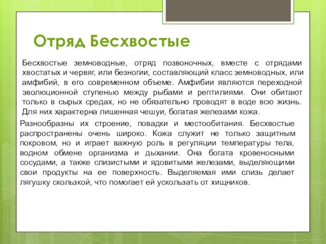 Отряд Бесхвостые Бесхвостые земноводные, отряд позвоночных, вместе с отрядами хвостатых и