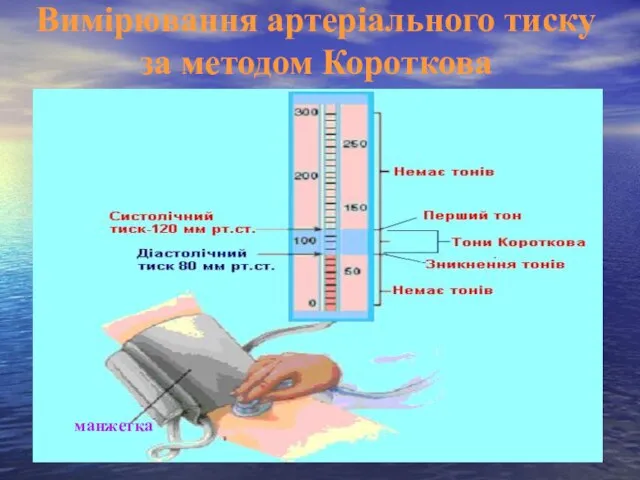 Вимірювання артеріального тиску за методом Короткова манжетка