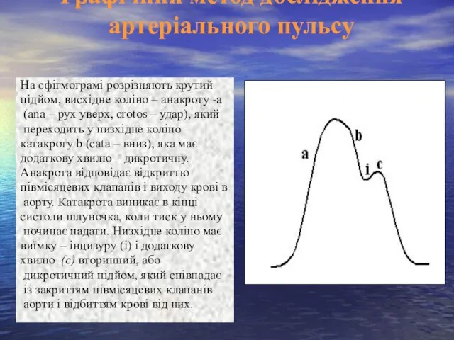 Графічний метод дослідження артеріального пульсу На сфігмограмі розрізняють крутий підйом, висхідне