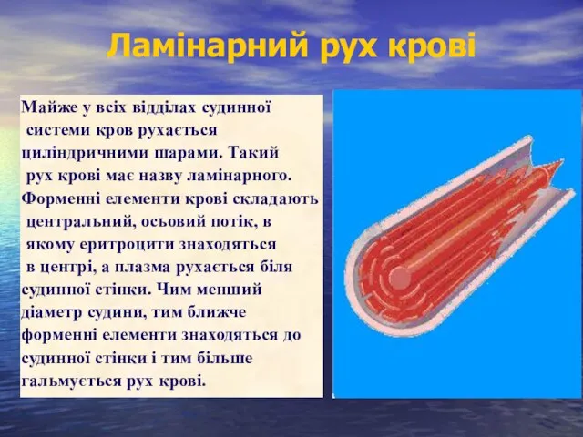 Ламінарний рух крові Майже у всіх відділах судинної системи кров рухається