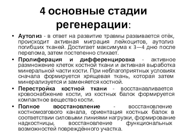 4 основные стадии регенерации: Аутолиз - в ответ на развитие травмы