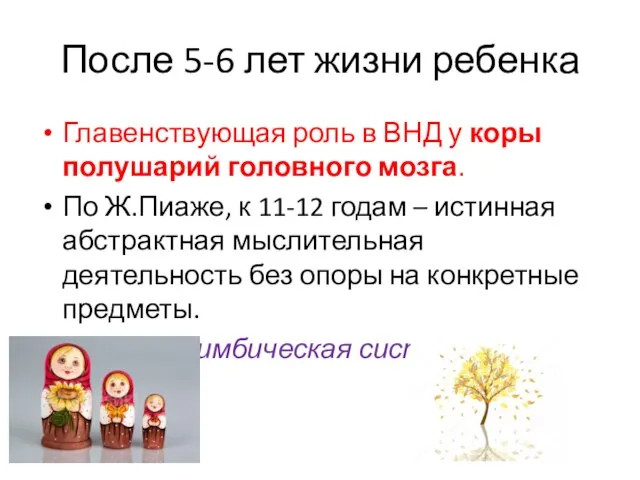 После 5-6 лет жизни ребенка Главенствующая роль в ВНД у коры