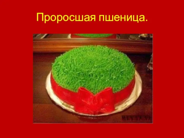 Проросшая пшеница.