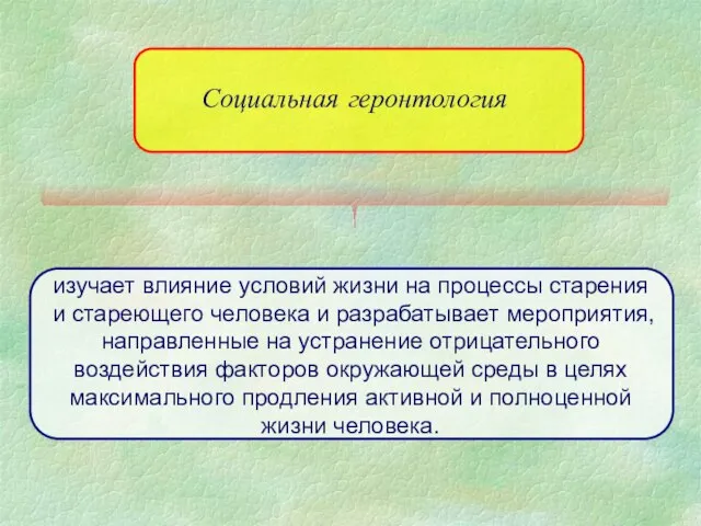 Социальная геронтология изучает влияние условий жизни на процессы старения и стареющего