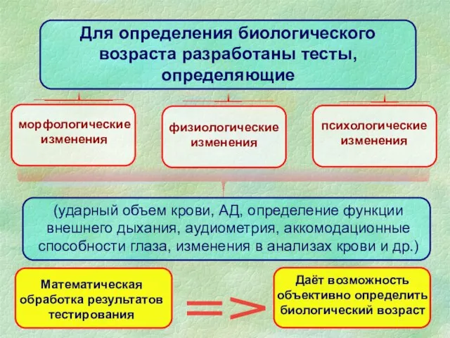 Даёт возможность объективно определить биологический возраст Для определения биологического возраста разработаны