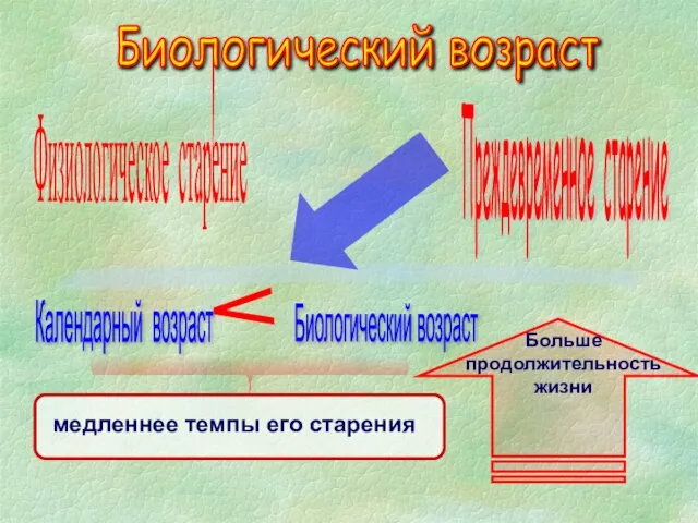 Биологический возраст Физиологическое старение Преждевременное старение Календарный возраст > Биологический возраст