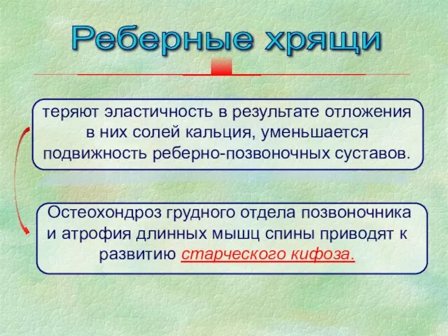 теряют эластичность в результате отложения в них солей кальция, уменьшается подвижность