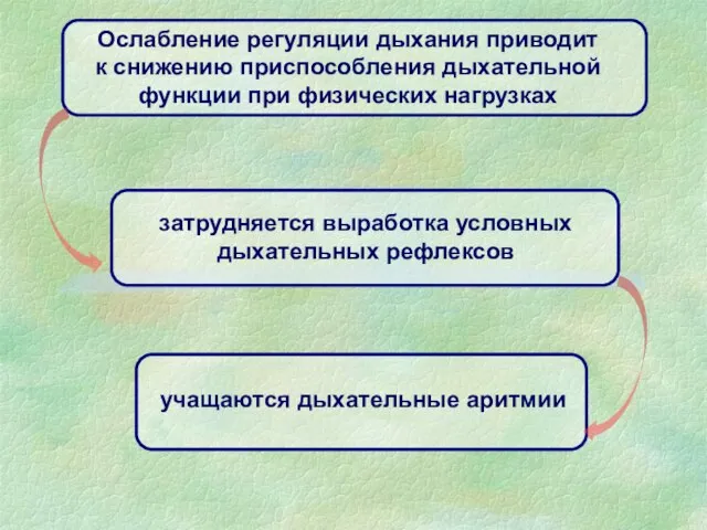 учащаются дыхательные аритмии Ослабление регуляции дыхания приводит к снижению приспособления дыхательной