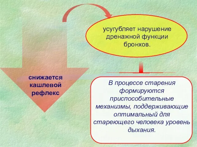 В процессе старения формируются приспособительные механизмы, поддерживающие оптимальный для стареющего человека