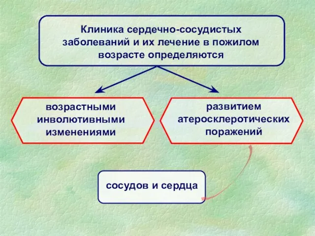 сосудов и сердца Клиника сердечно-сосудистых заболеваний и их лечение в пожилом