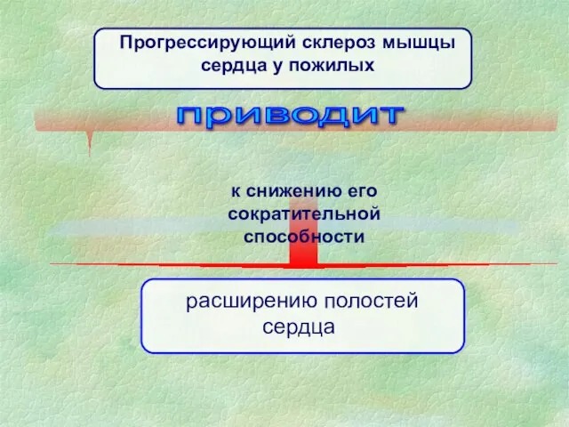 расширению полостей сердца Прогрессирующий склероз мышцы сердца у пожилых приводит к снижению его сократительной способности