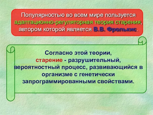 Популярностью во всем мире пользуется адаптационно-регуляторная теория старения, автором которой является