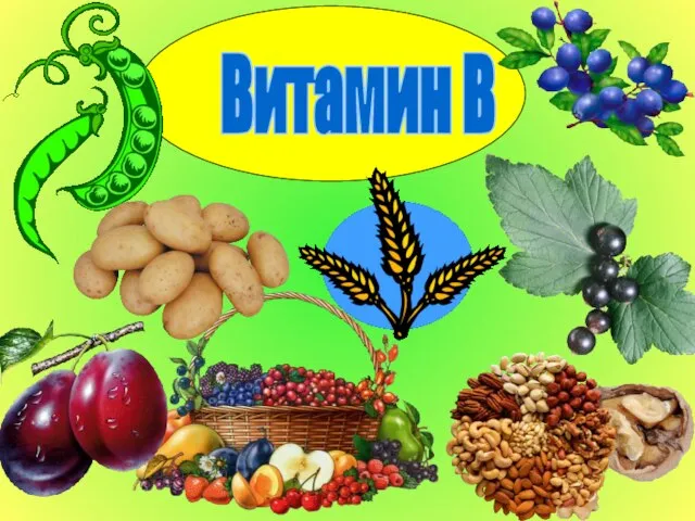 Витамин В