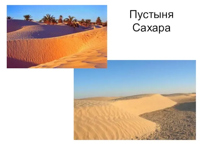 Пустыня Сахара