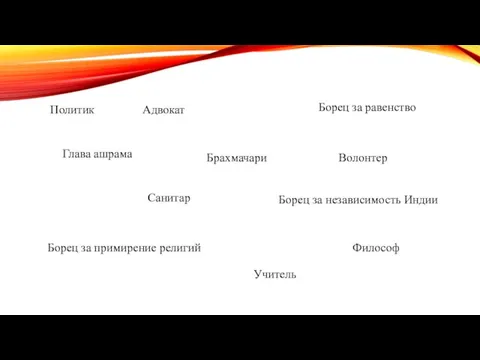 Глава ашрама Политик Борец за равенство Адвокат Борец за независимость Индии