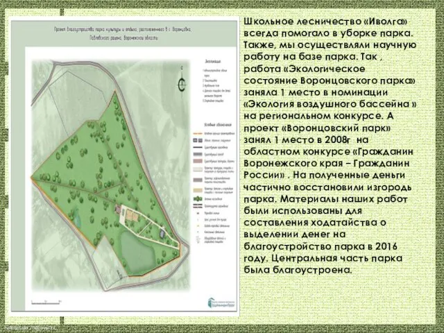 Школьное лесничество «Иволга» всегда помогало в уборке парка. Также, мы осуществляли