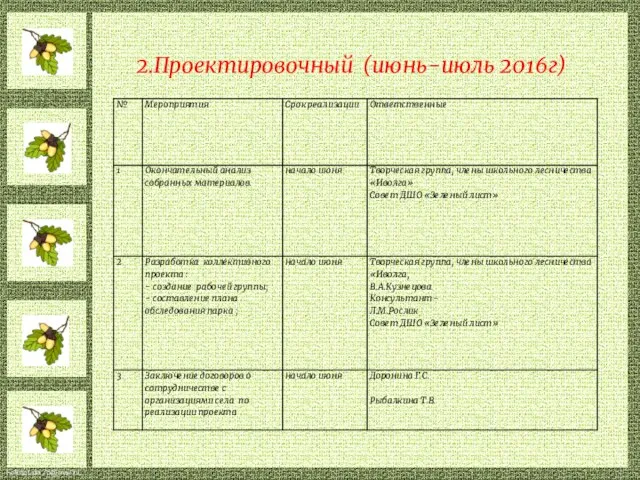 2.Проектировочный (июнь-июль 2016г)