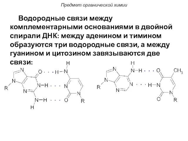 Водородные связи между комплементарными основаниями в двойной спирали ДНК: между аденином