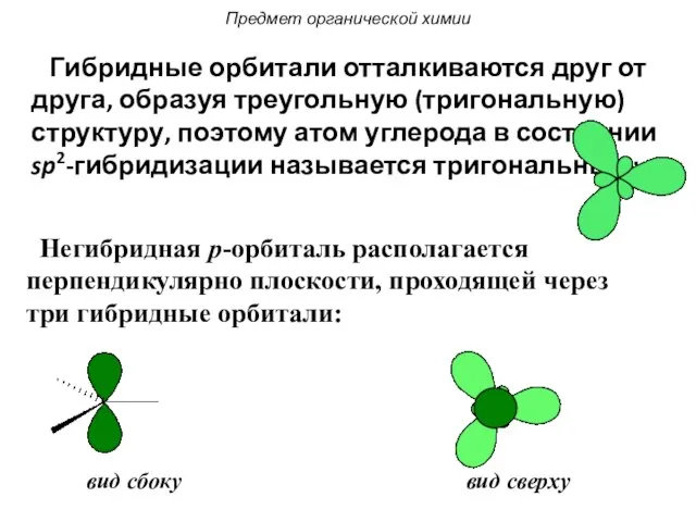 Гибридные орбитали отталкиваются друг от друга, образуя треугольную (тригональную) структуру, поэтому