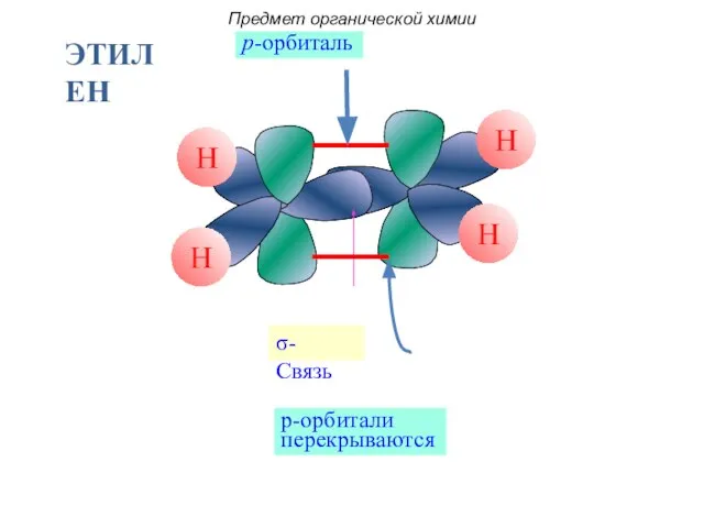 p-орбиталь σ- Связь p-орбитали перекрываются Предмет органической химии ЭТИЛЕН